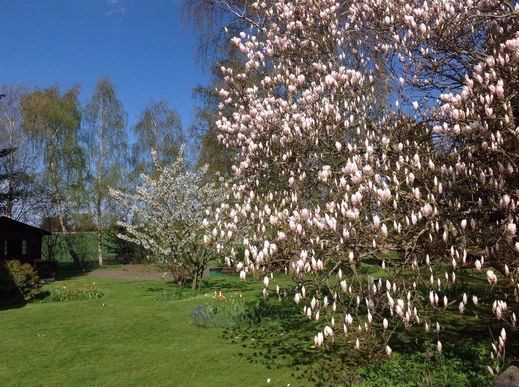 Dyrlev Bed & Breakfast Præstø Exteriör bild