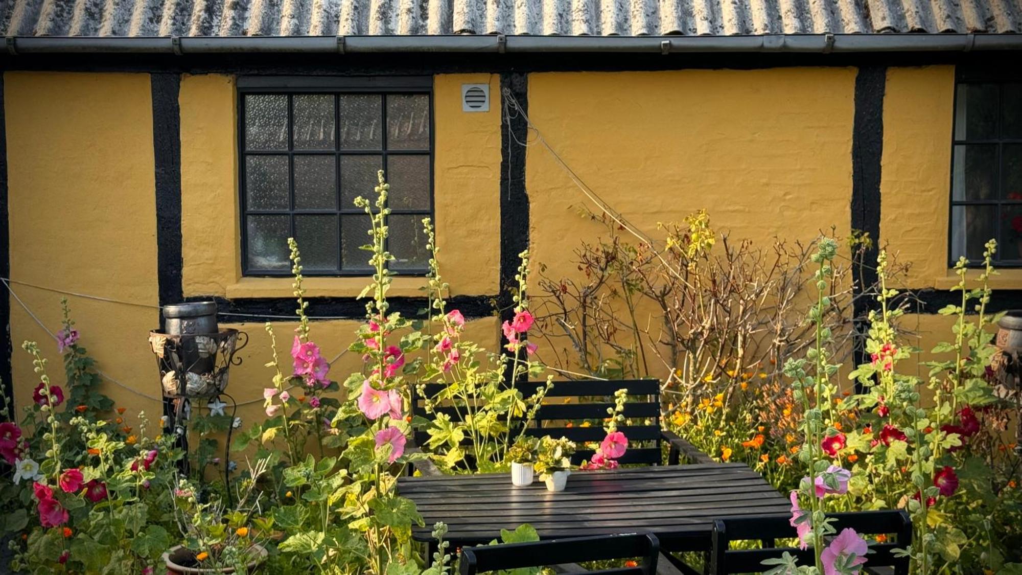 Dyrlev Bed & Breakfast Præstø Exteriör bild