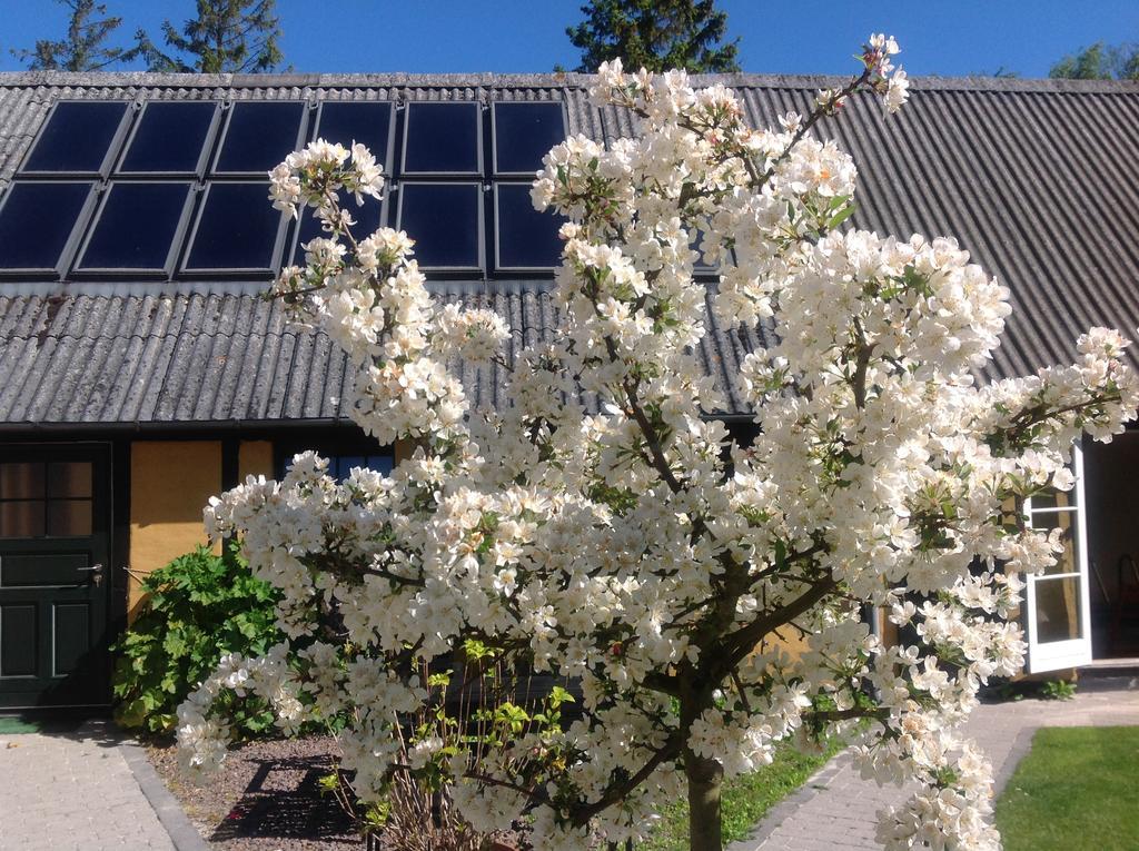 Dyrlev Bed & Breakfast Præstø Exteriör bild